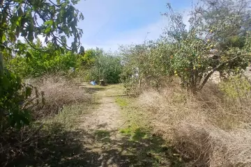 Satılır Torpaq Maştağada