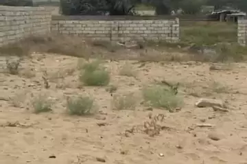 Satılır Torpaq Nardaranda