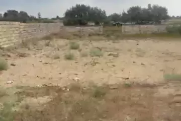 Satılır Torpaq Nardaranda