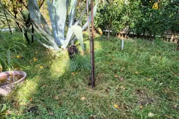 Satılır Bağ Evi Mərdəkanda