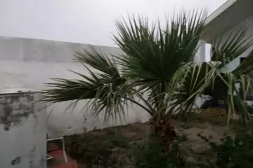 Satılır Həyət Evi Qalada