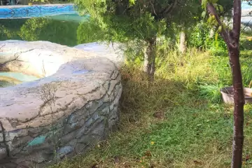 Satılır Bağ Evi Mərdəkanda