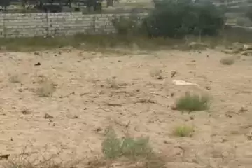 Satılır Torpaq Nardaranda
