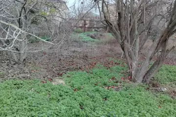 Satılır Torpaq Bakı Kinoteatrıda