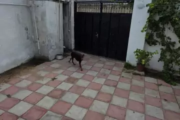 Satılır Həyət Evi Maştağada