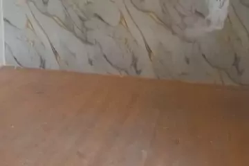 Satılır Həyət Evi Suraxanıda