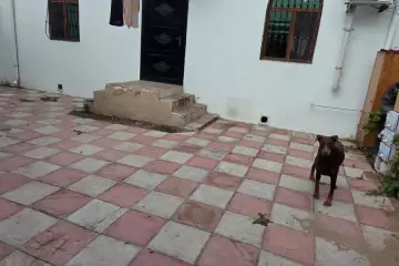 Satılır Həyət Evi Maştağada 