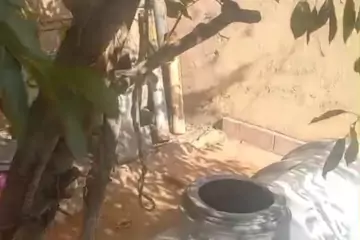 Satılır Həyət Evi Suraxanıda