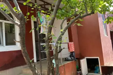 Satılır Həyət Evi Masazırda