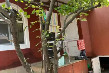 Satılır Həyət Evi Masazırda