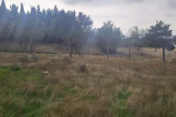 Satılır Torpaq Bakıxanovda
