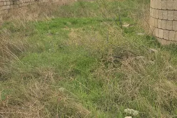Satılır Torpaq Bakıxanovda