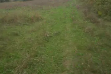 Satılır Torpaq Quba Rayonunda
