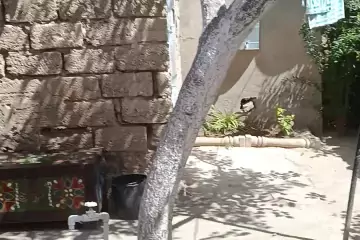 Satılır Həyət Evi Hövsanda