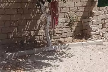 Satılır Həyət Evi Hövsanda