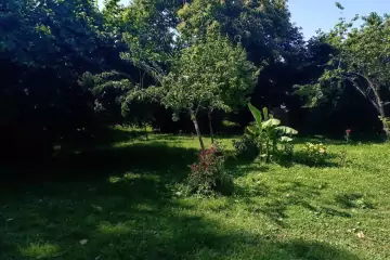 Günlük Kirayə Həyət Evi Vəndam Qəsəbəsində