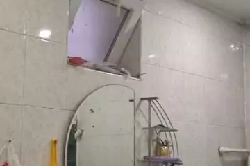Satılır Həyət Evi Bülbülədə