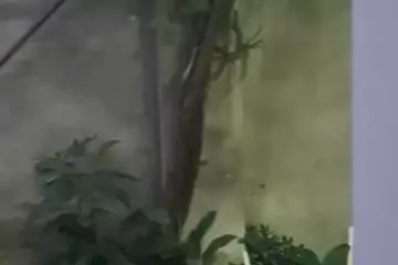 Satılır Həyət Evi Bülbülədə