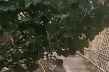 Satılır Həyət Evi Suraxanıda