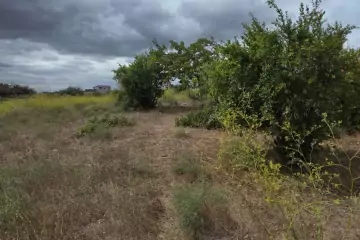 Satılır Torpaq Maştağada