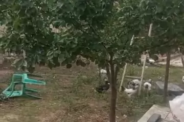 Satılır Həyət Evi Suraxanıda