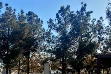 Satılır Bağ Evi Buzovnada
