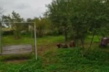 Satılır Həyət Evi Quba Rayonunda