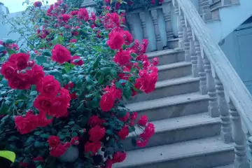 Satılır Villa Göygöl Rayonunda