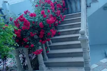 Satılır Villa Göygöl Rayonunda
