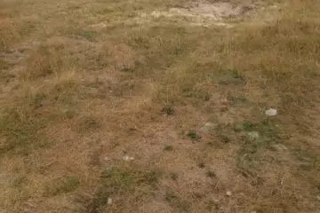 Satılır Torpaq Pirşağıda