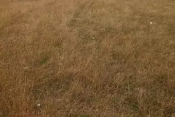 Satılır Torpaq Pirşağıda