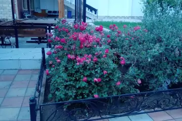 Satılır Villa Göygöl Rayonunda