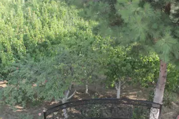 Satılır Villa Göygöl Rayonunda