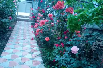 Satılır Villa Göygöl Rayonunda