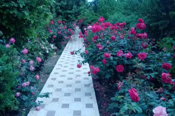 Satılır Villa Göygöl Rayonunda