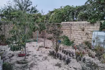Satılır Həyət Evi Pirşağıda
