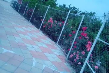 Satılır Villa Göygöl Rayonunda