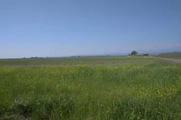 Satılır Torpaq Köhnə Xaçmazda