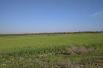 Satılır Torpaq Köhnə Xaçmazda