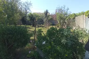 Satılır Torpaq Masallı Rayonunda 
