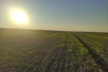 Satılır Torpaq Göyçay Rayonunda