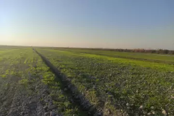 Satılır Torpaq Göyçay Rayonunda