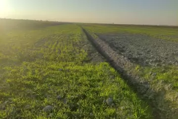 Satılır Torpaq Göyçay Rayonunda