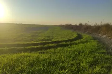 Satılır Torpaq Göyçay Rayonunda