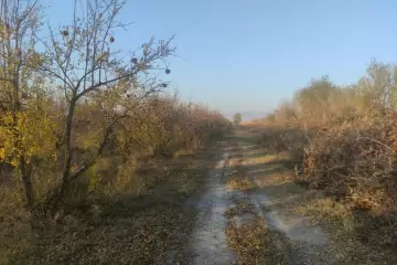Satılır Torpaq Göyçay Rayonunda