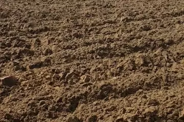 Satılır Torpaq Nardaranda