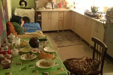 Satılır Həyət Evi şəki Rayonunda