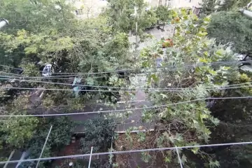 Satılır Köhnə Tikili İzmir Parkı