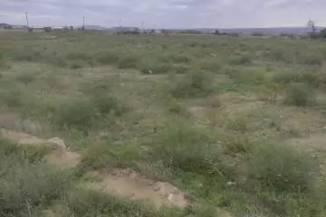 Satılır Torpaq Nardaranda