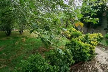 Satılır Həyət Evi Maştağada
